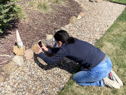 Erynn Photographing Gnomes